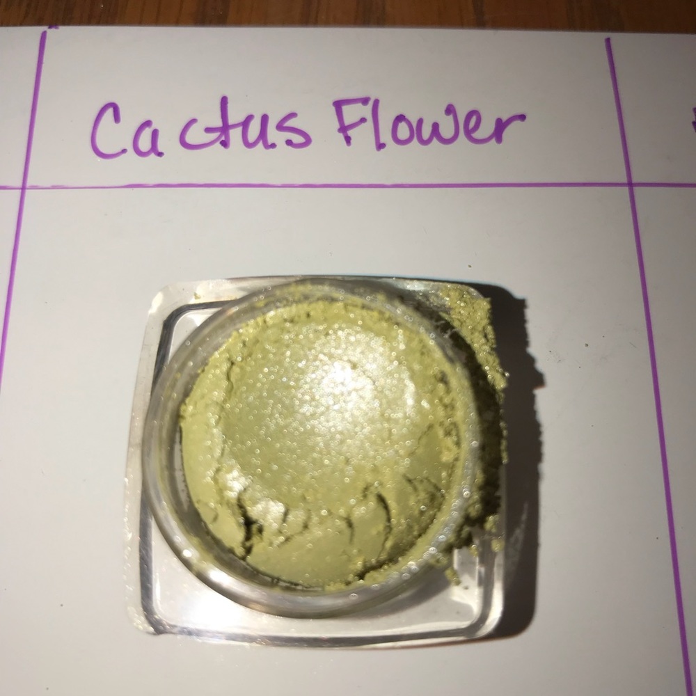 Mineral Eyeshadow in Cactus Flower.